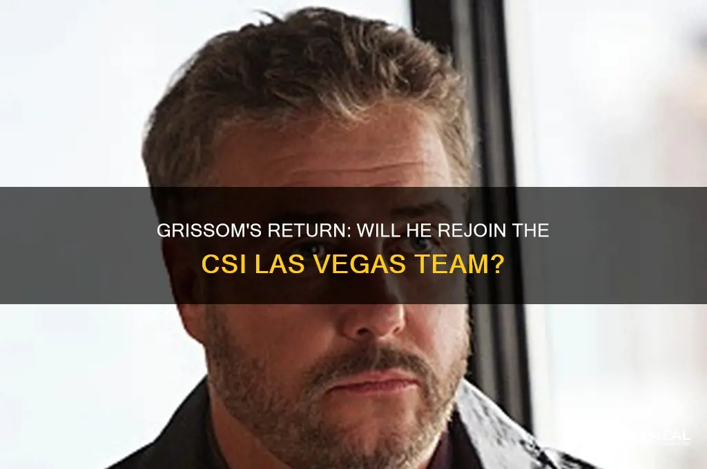 does grissom dinne back to csi las vegas