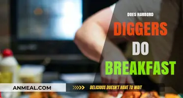 Harbord Diggers Breakfast: Menu, Hours, and What to Expect