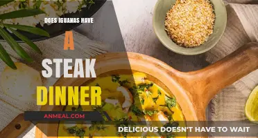 Iguanas and Steak: Unraveling the Myth of Their Dinner Preferences