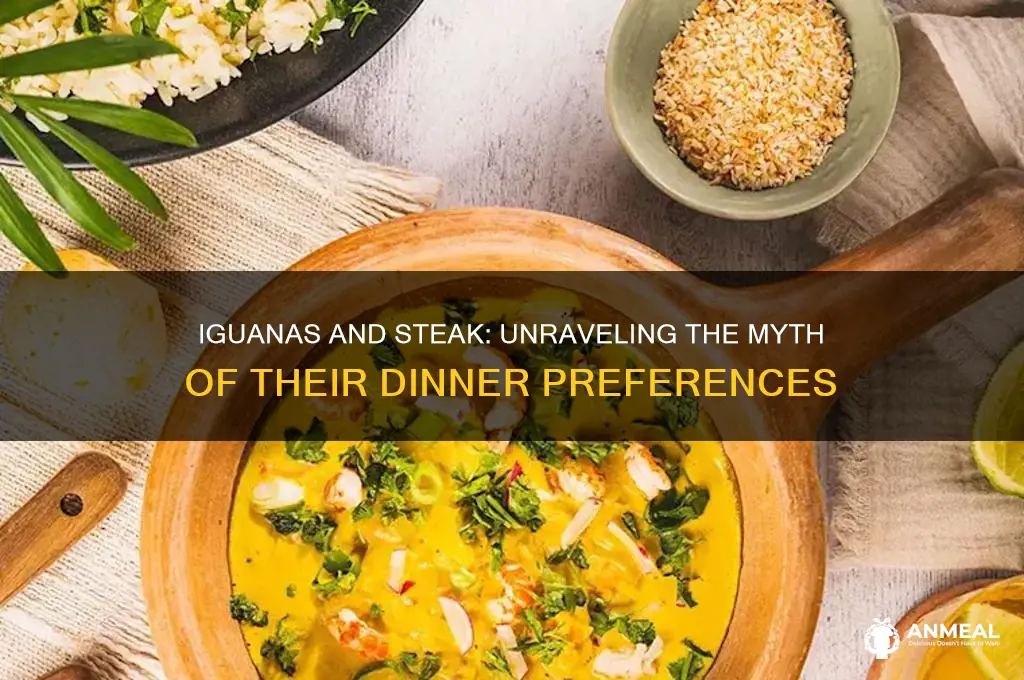 does iguanas have a steak dinner
