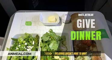 Does JetBlue Serve Dinner? Exploring In-Flight Meal Options and Services