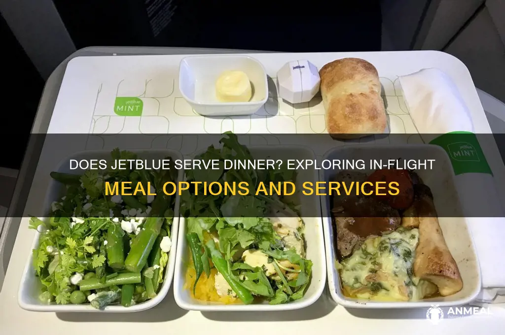does jetblue give dinner