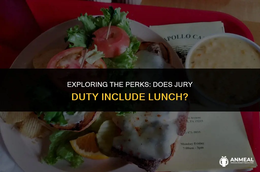 does jury duty provide lunch
