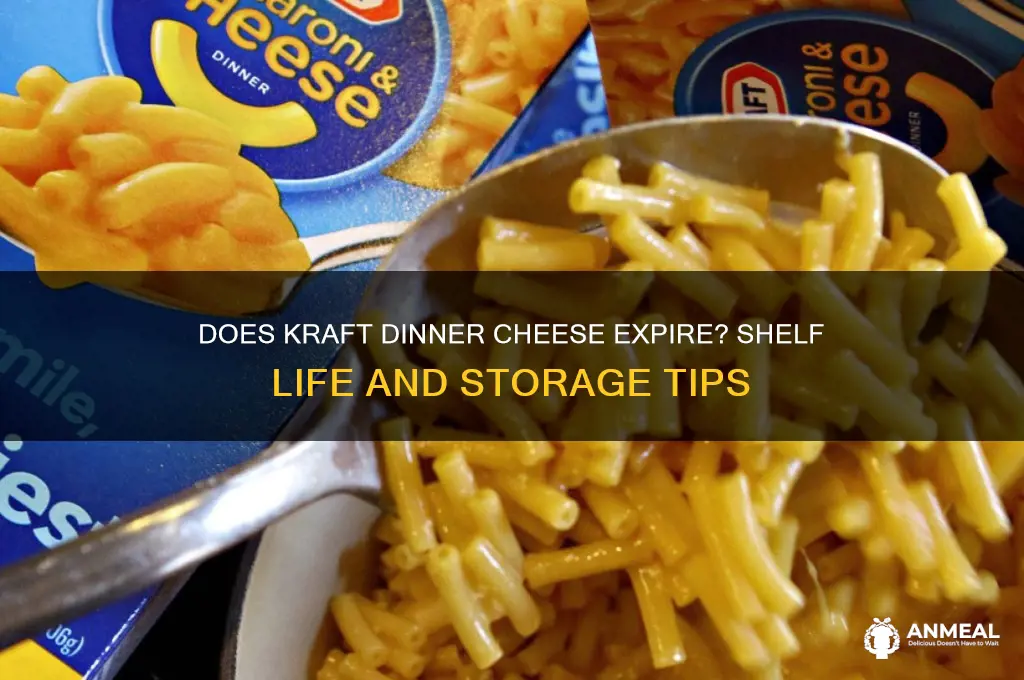 does kraft dinner cheese go bad