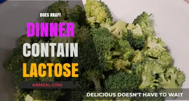 Is Kraft Dinner Lactose-Free? Uncovering the Truth for Dairy-Sensitive Eaters