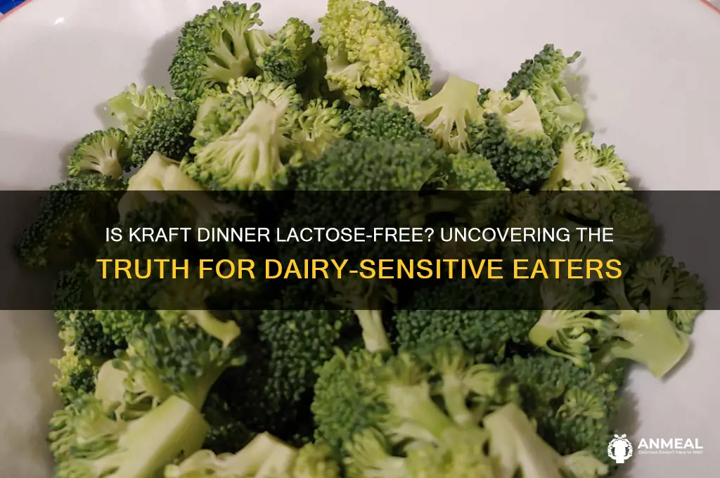 does kraft dinner contain lactose