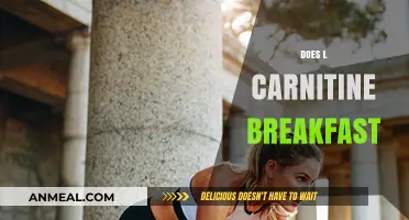 L-Carnitine at Breakfast: Boosting Metabolism and Energy Levels