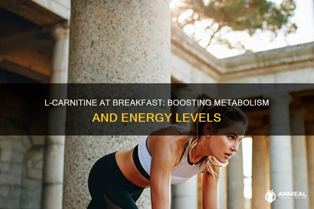 does l carnitine breakfast