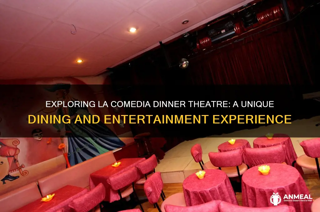 does la comedia dinner theatre