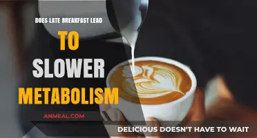 Late Breakfast: Slowing Metabolism or Myth?