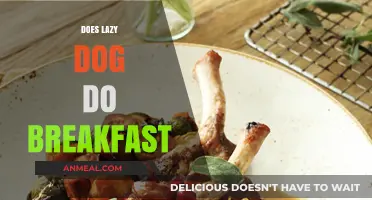 Lazy Dog Breakfast Menu: What’s Served and Is It Worth It?