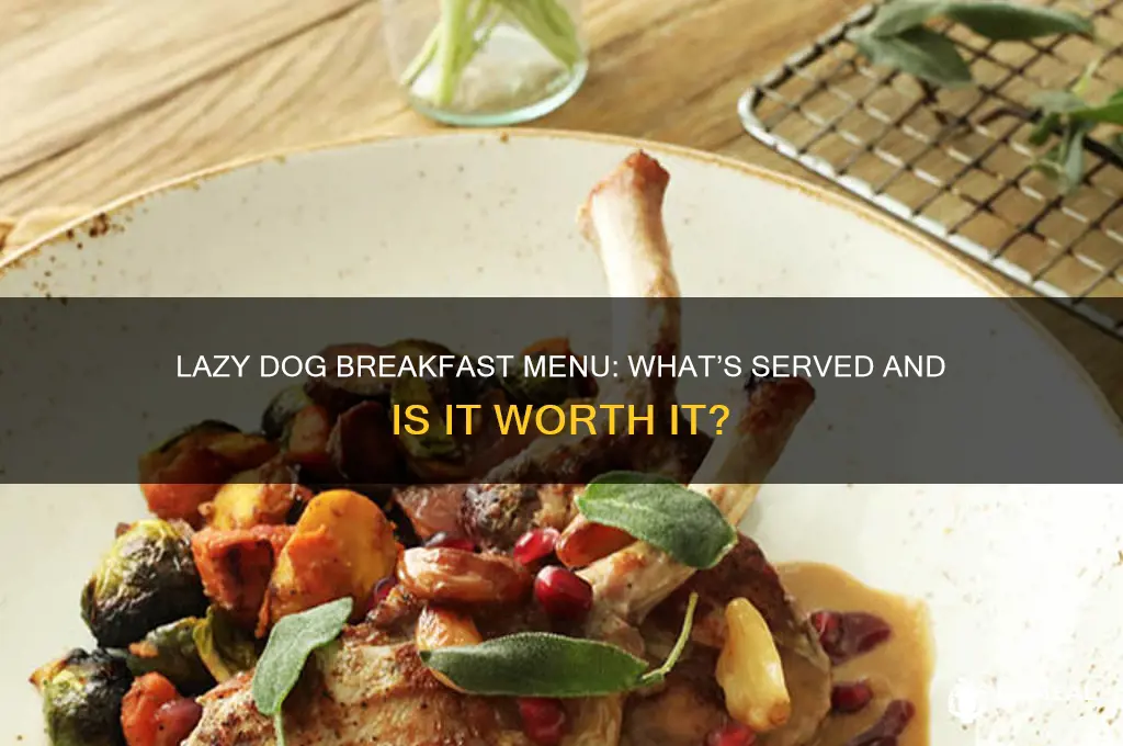does lazy dog do breakfast