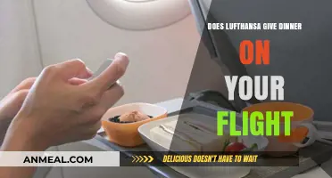 Does Lufthansa Serve Dinner on Flights? A Comprehensive Guide