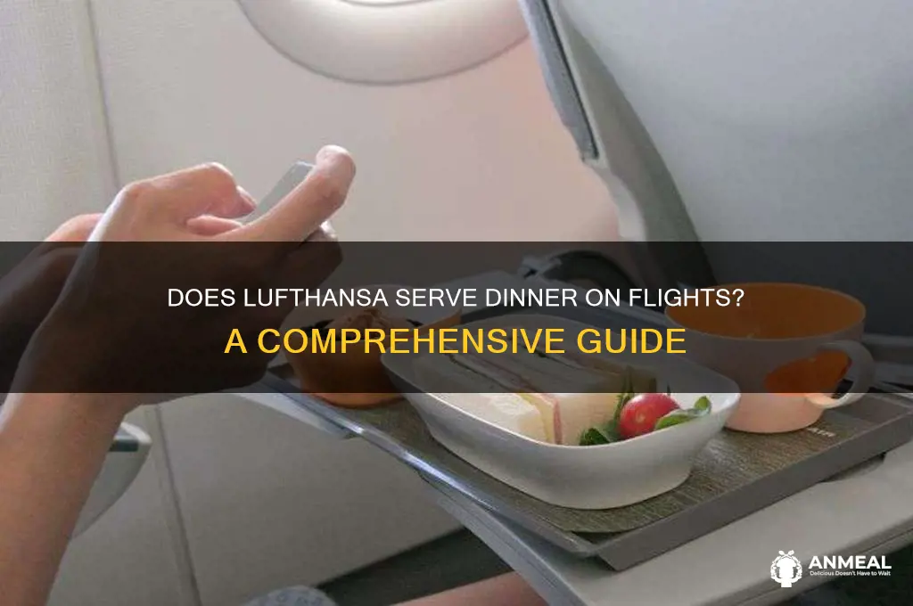 does lufthansa give dinner on your flight