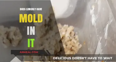 Unveiling the Truth: Is Mold Lurking in Your Lunch?