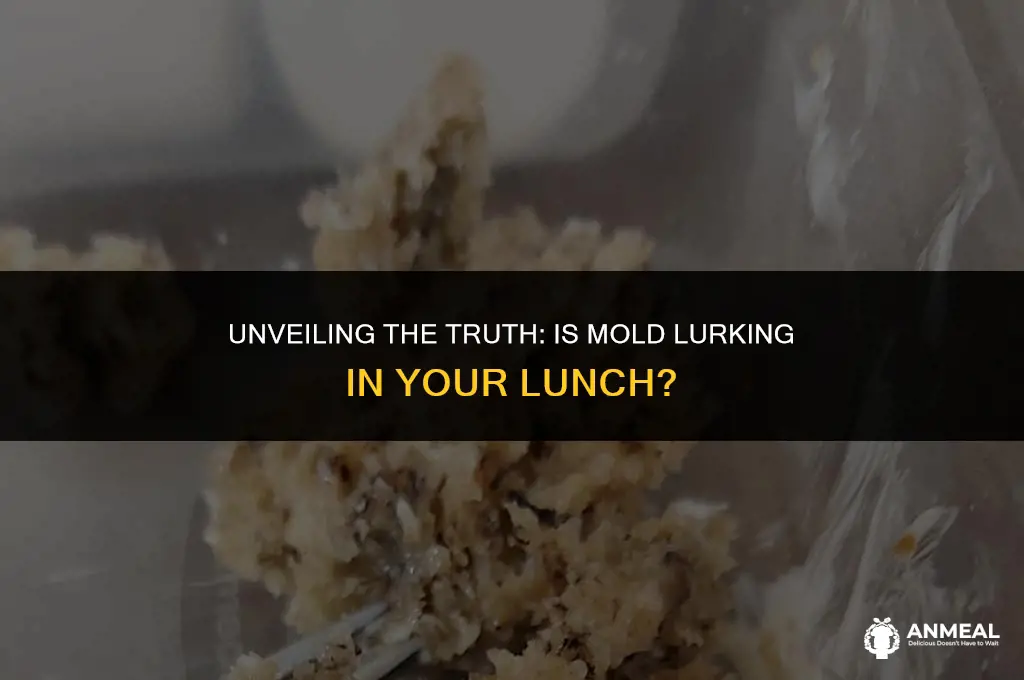 does lunchly have mold in it