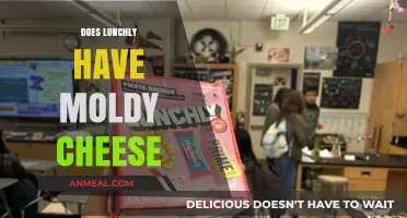 Unveiling the Truth: Lunchly's Cheese Controversy Explored