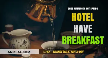 Mammoth Hot Spring Hotel: Breakfast Options Explored