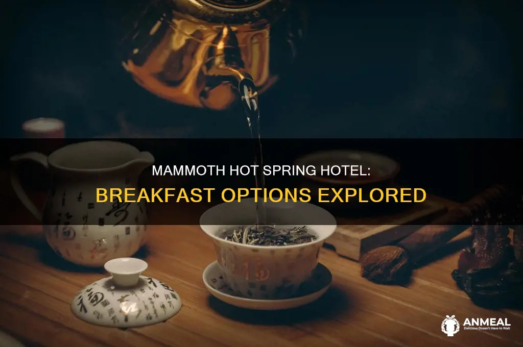 does mammoth hot spring hotel have breakfast