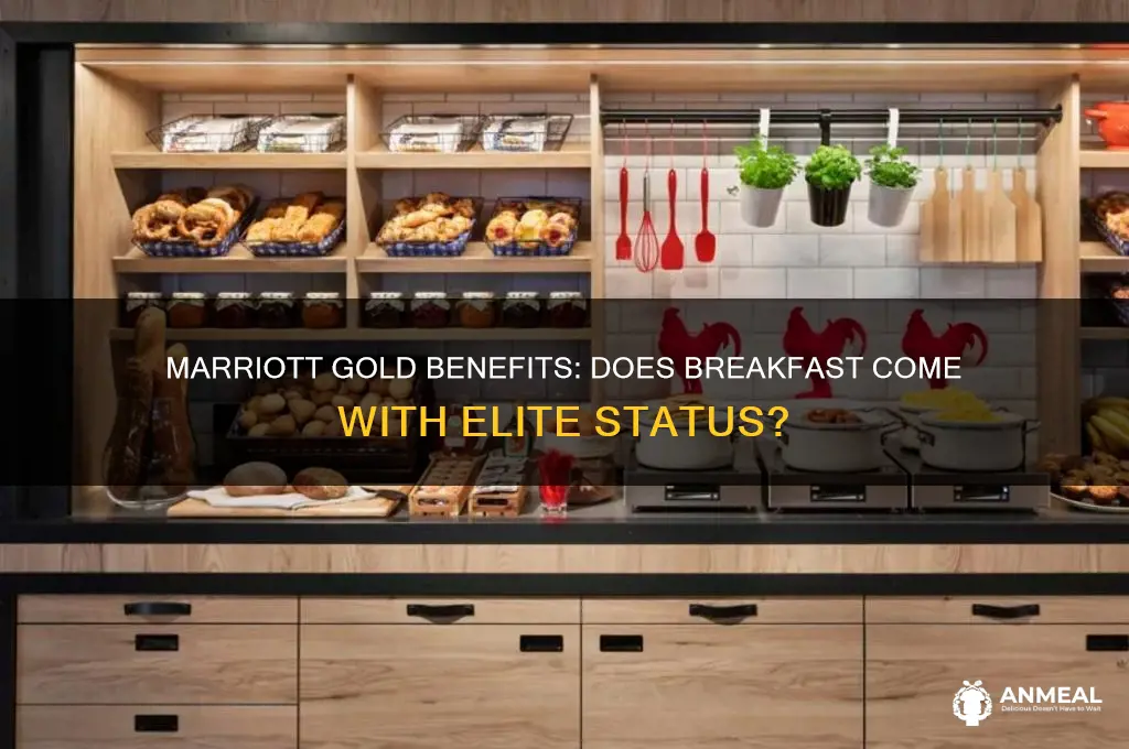 does marriott gold include breakfast