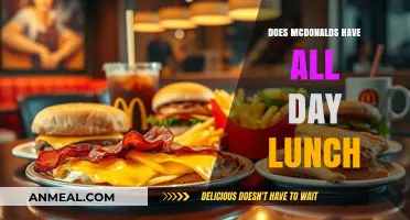 Savoring McDonald's All-Day Lunch: A Menu Exploration