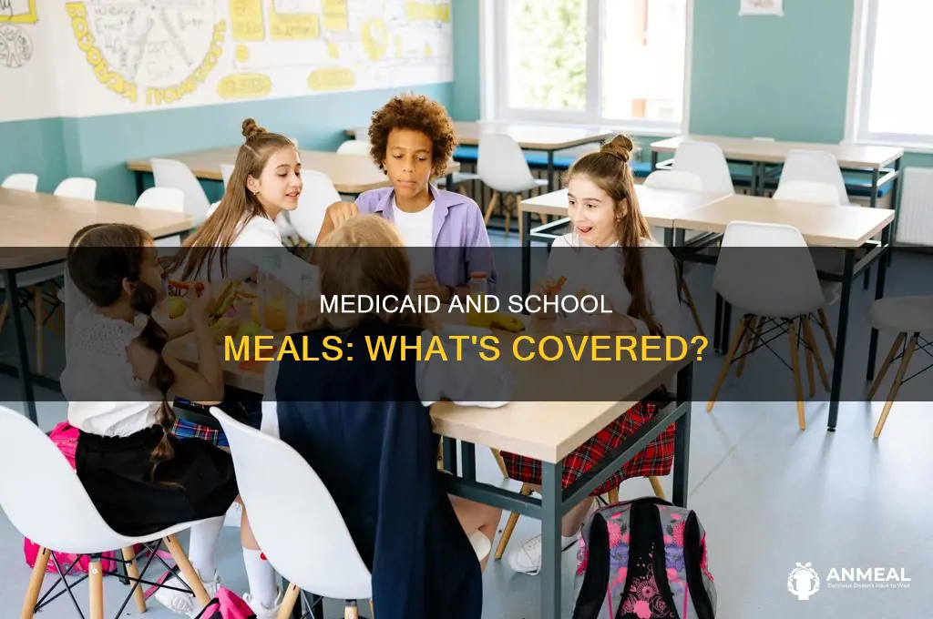 does medicaid pay for school breakfast and lunch