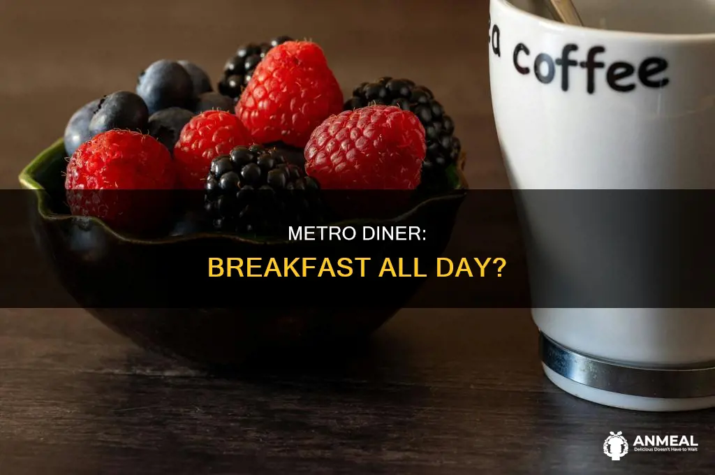 does metro diner have breakfast all day