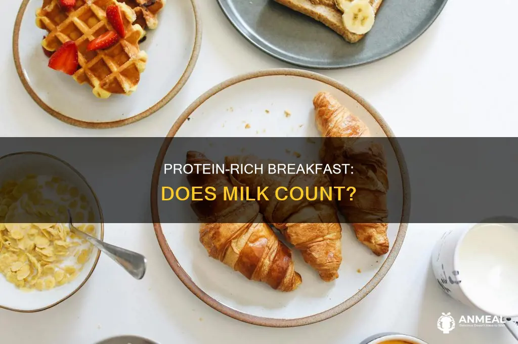 does milk count as a protein in breakfast