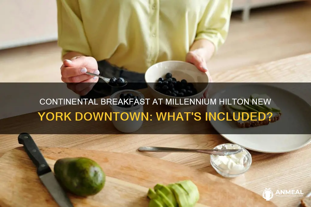 does millennium hilton new york downtown have continental breakfast