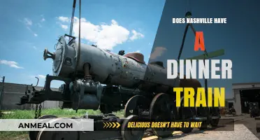 Nashville's Dinner Train: A Unique Dining Experience on Rails?