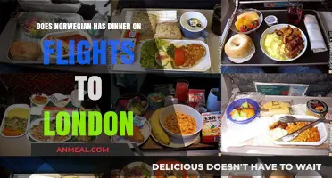 Norwegian Airlines: Does Dinner Service Exist on London-Bound Flights?