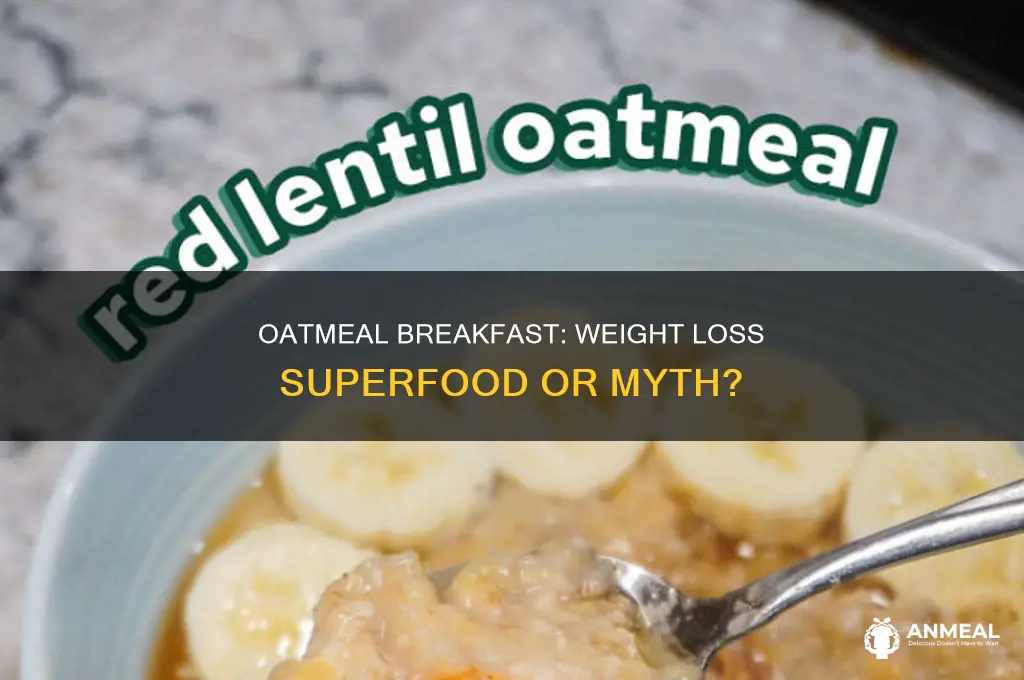 does oatmeal for breakfast help you lose weight