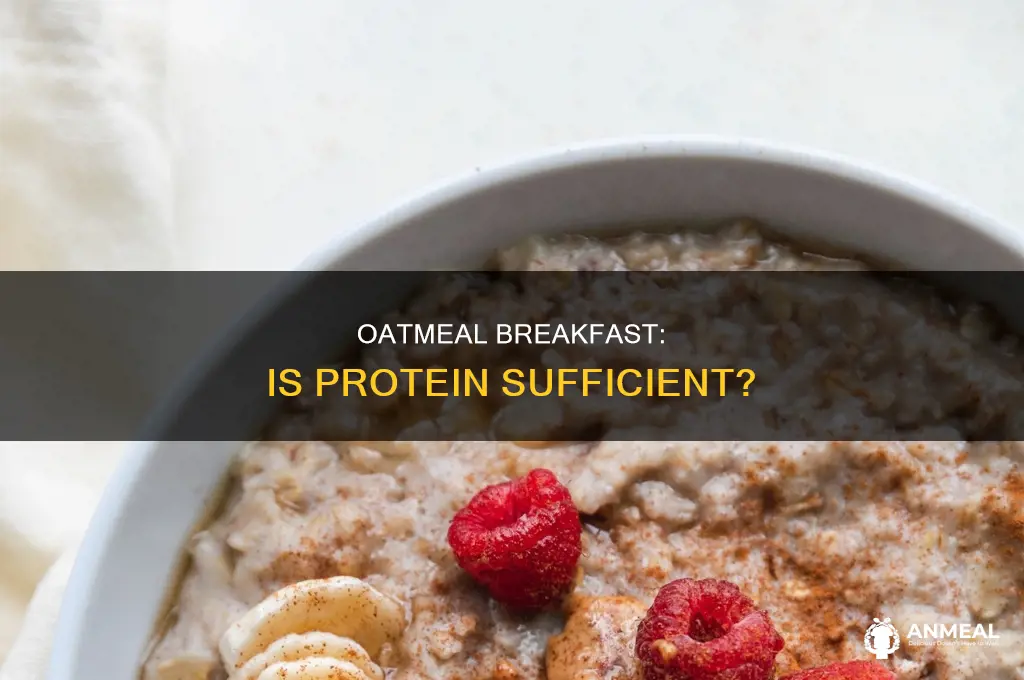 does oatmeal have enough protein for breakfast