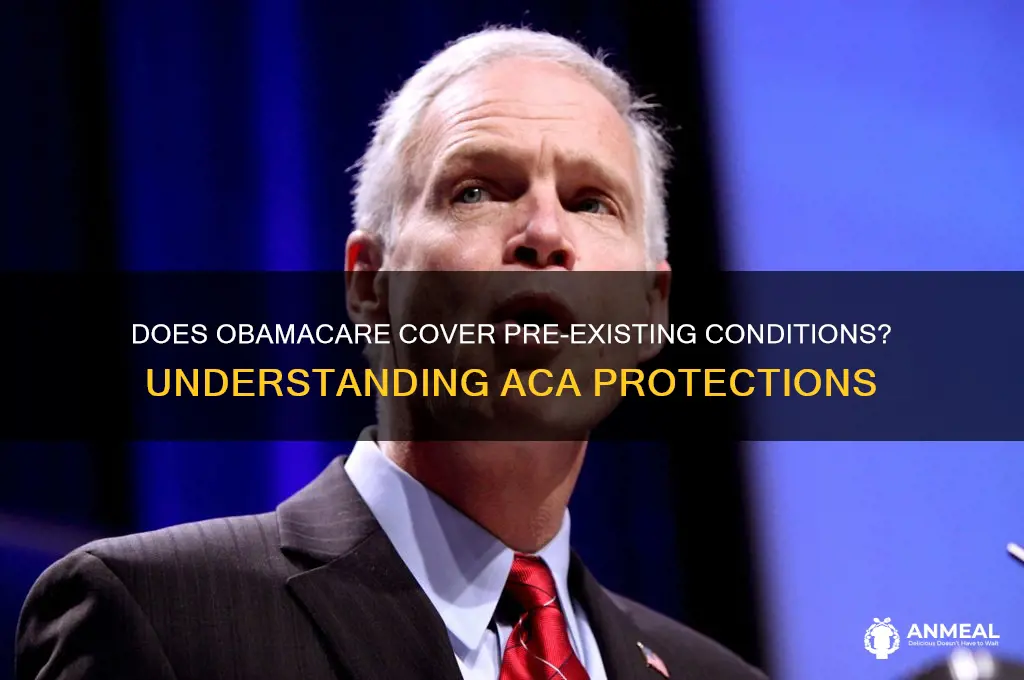 does obamacare dinner pre existing