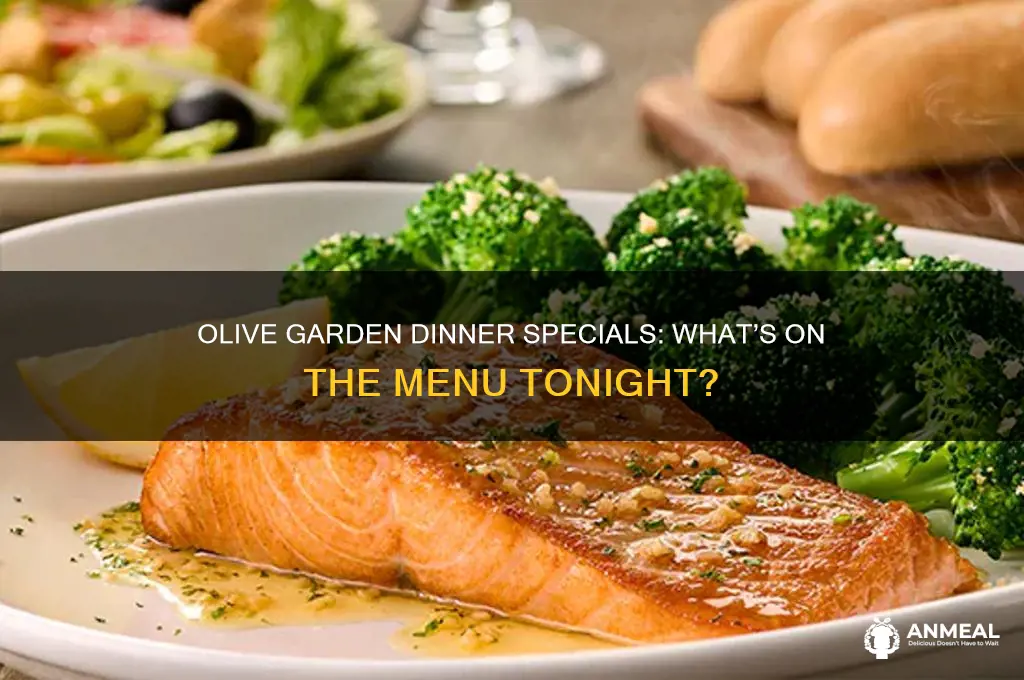 does olive garden have any dinner specials