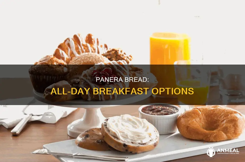 does panera bread do breakfast all day