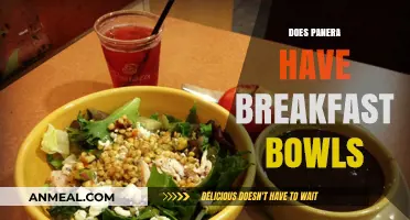 Does Panera Serve Breakfast Bowls? A Morning Menu Guide