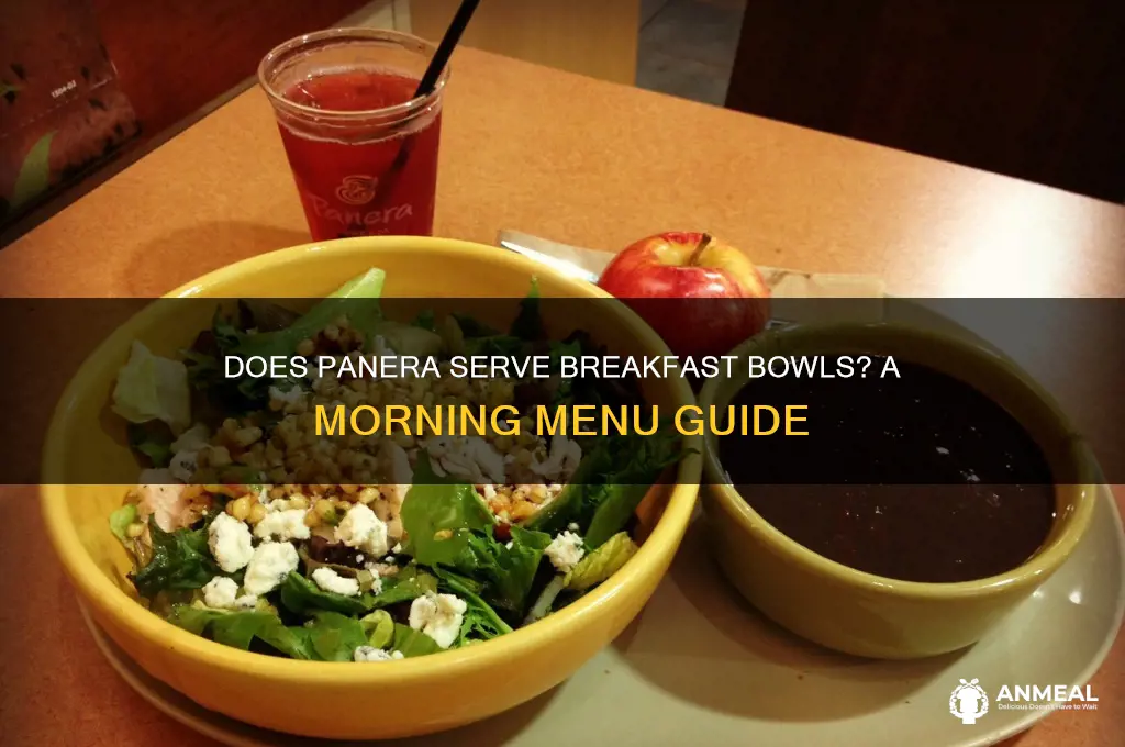 does panera have breakfast bowls