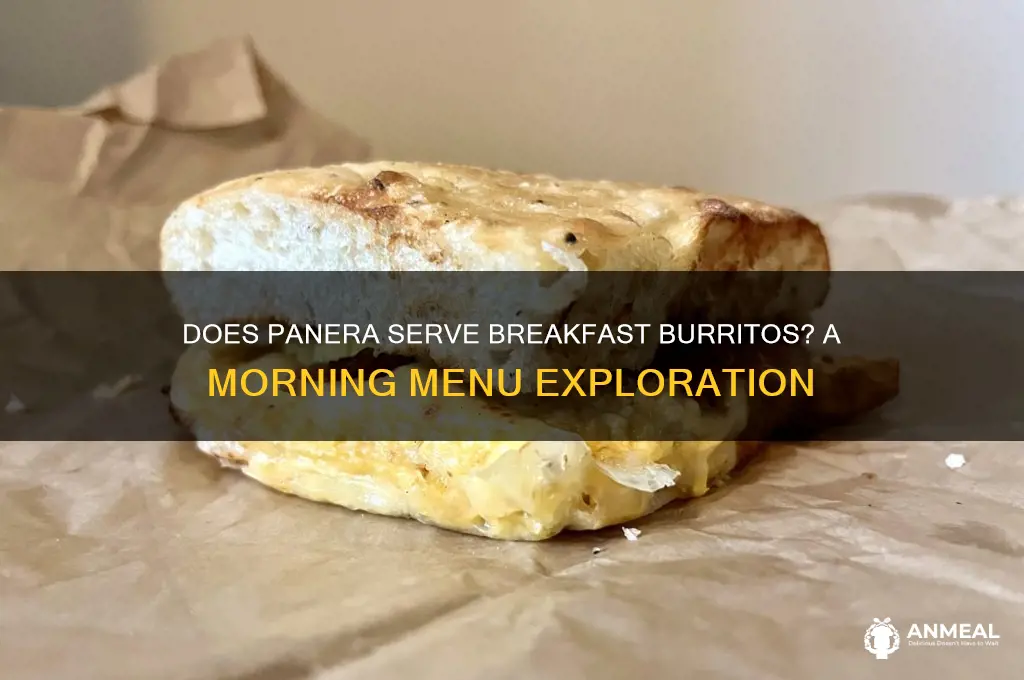 does panera have breakfast burritos