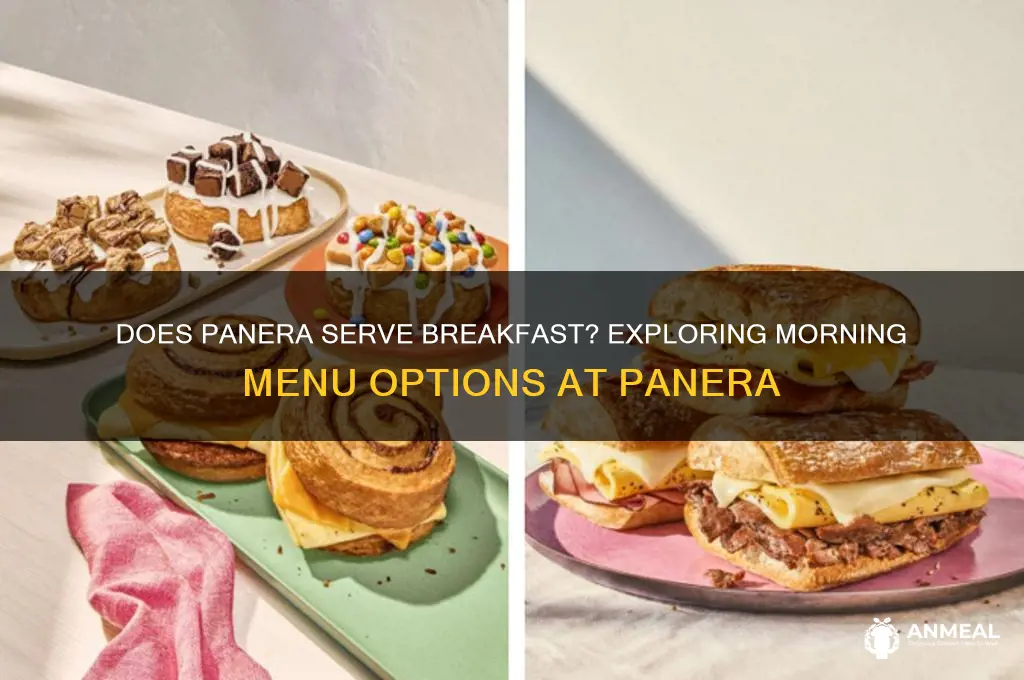 does panera have breakfast food