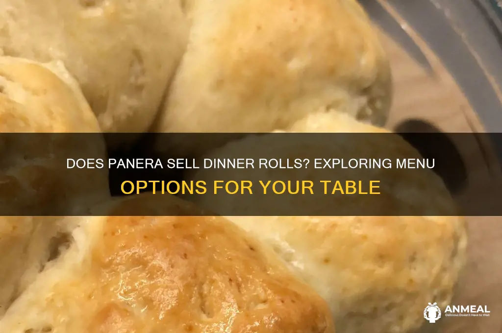 does panera sell dinner rolls
