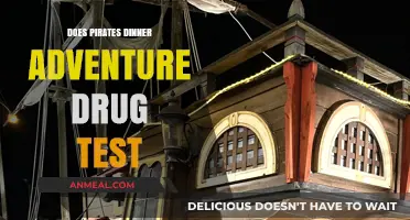 Pirates Dinner Adventure Drug Testing Policy: What You Need to Know