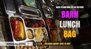 PlanetBox vs. Pottery Barn Lunch Bag: A Fit for Eco-Friendly Lunches?