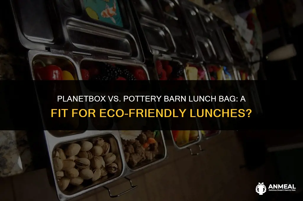 does planetbox fit in pottery barn lunch bag