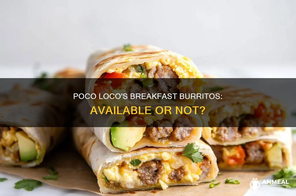 does poco loco sell breakfast burritos