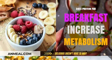 Protein-rich Breakfasts: Boosting Metabolism and Energy