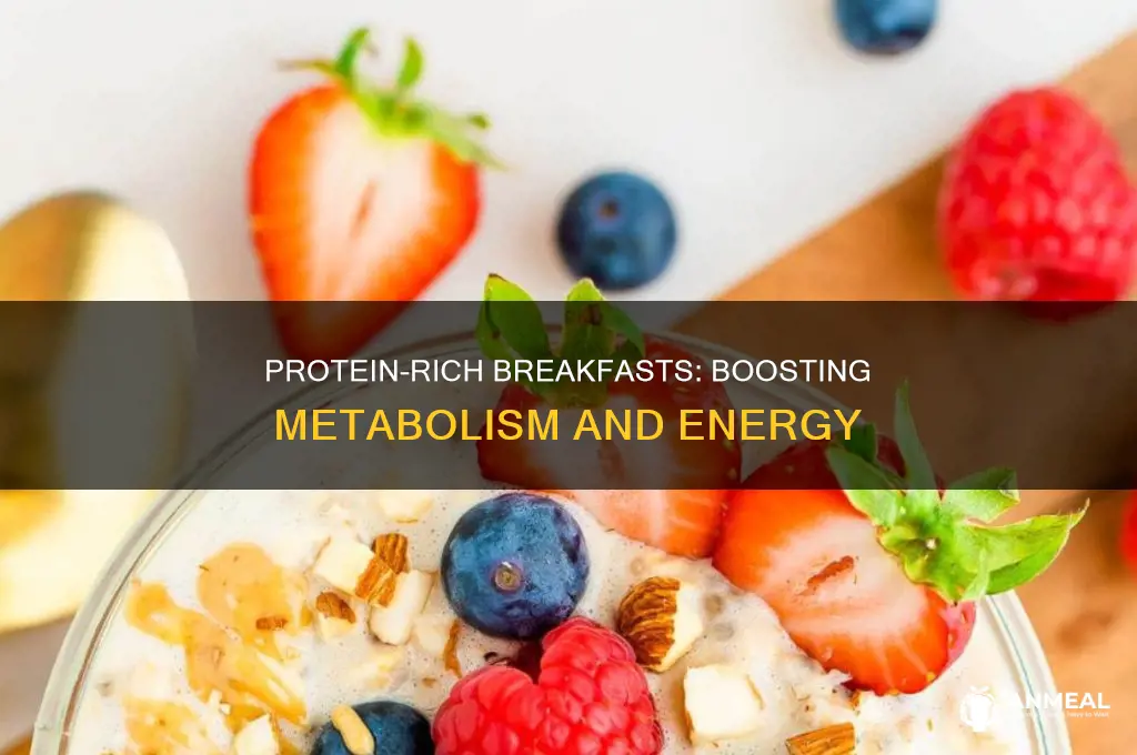 does protein for breakfast increase metabolism
