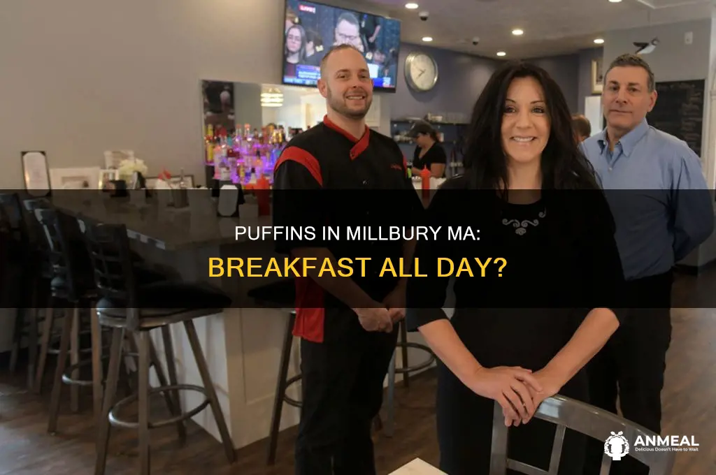 does puffins in millbury ma have all day breakfast