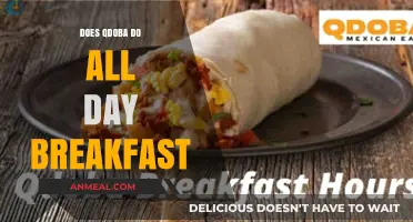 Breakfast at Qdoba: All-Day Availability?