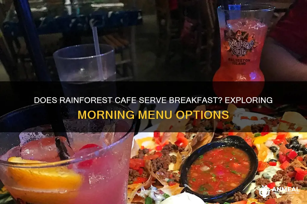 does rainforest cafe have breakfast